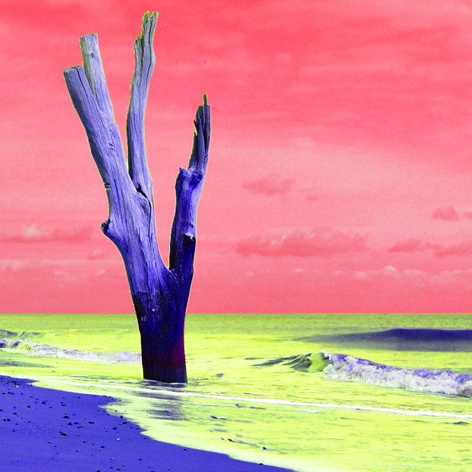 Weird coloured tree image