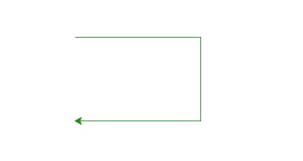 Turtle image